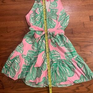 Lilly Pulitzer Pink and Green Striped Dress